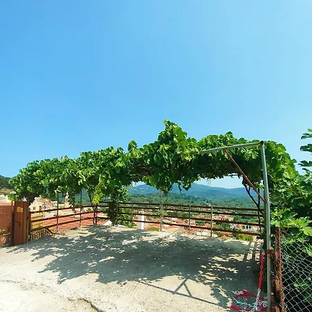 Chrysanthos * Ágios Matthaíos